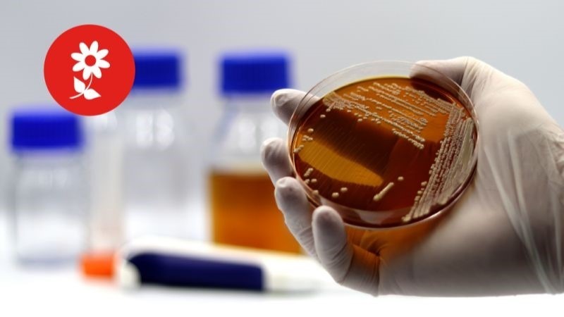 fertinagro biotech